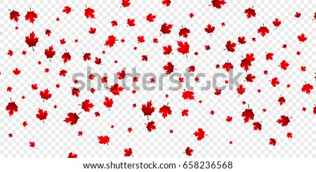 Canada Day maple leaves background. Falling red leaves for Canada Day 1st July. Royalty-Free Stock Photo #658236568