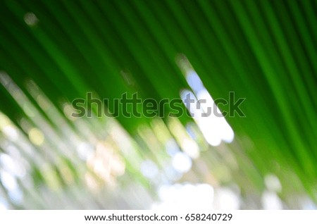 blurred abstract background.Natural light tree