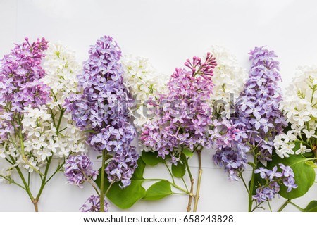 Background, frame with branches of lilac in different colors - white, lilac and purple on a white. Top view. Copy space. The theme of spring, summer, good morning. 
