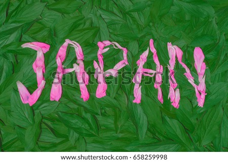 word japan written with petals