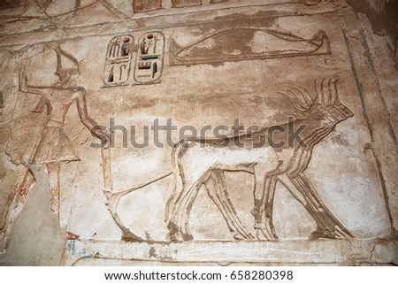 Ancient Egyptian engravings depicting bulls 