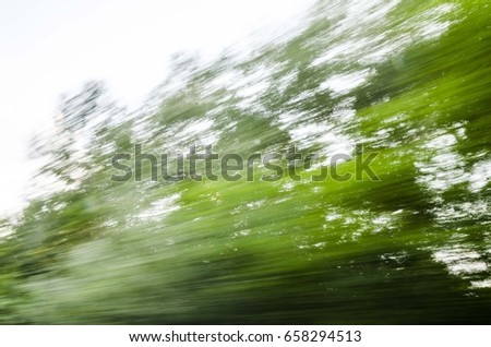road trees motion blur 