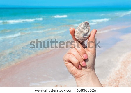 WomanÂ´s hand holding a seashell on the beach.