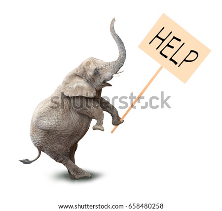 Elephant with protest board. Animal isolated on white background. Digital collage on ecology theme. Picture with space for your text.