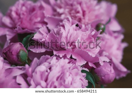 Pink peonies  on a brown wooden background