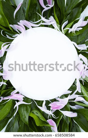 White round frame decorated with green leaves, empty space for text mock up