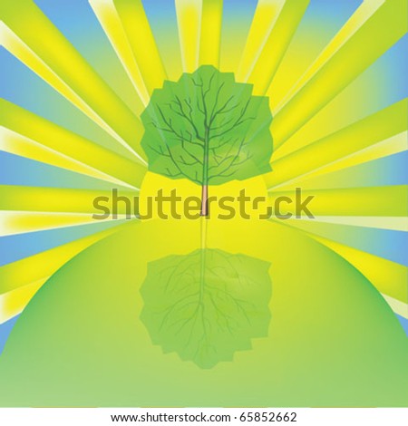 Sun rise with tree background