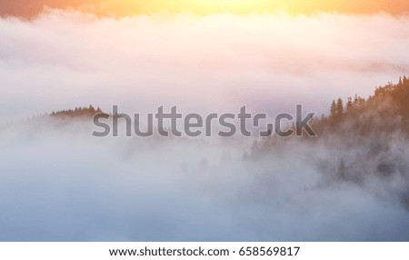 Misty dawn in the mountains in summer.