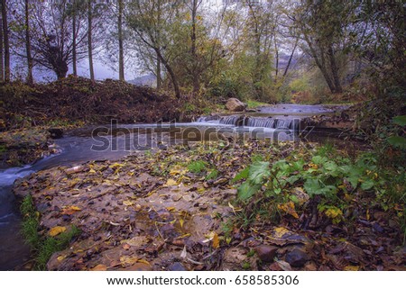River of Jasenica in Serbia flowing in its stream surrounded by forest