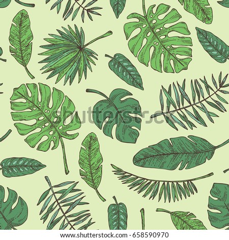 Seamless pattern with tropical plant and  tropical leaves. Vector hand drawn illustration