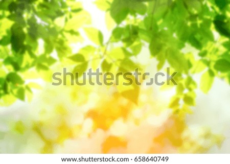 Natural green background with bright sun light