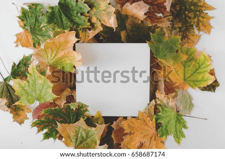 flat lay blank paper with dry autumn colorful leaves on a white background, top view