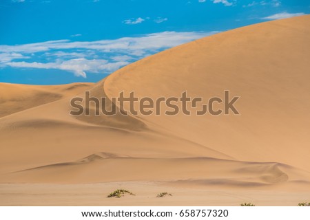 Dune 7, a very large sand dune area at the edbge of the Namib desert near the harbor city of Walvis Bay, Namib-Naukluft National Park, Namibia.