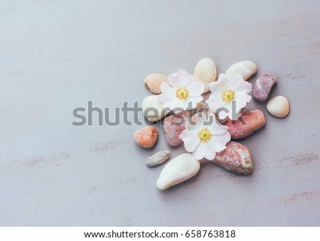 Abstraction of pink stones and flowers on a gray background with space for text, top view. mock up for text, phrases, congratulations, lettering