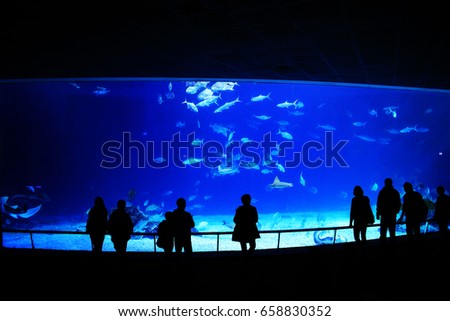 inside of a big and dark aquarium