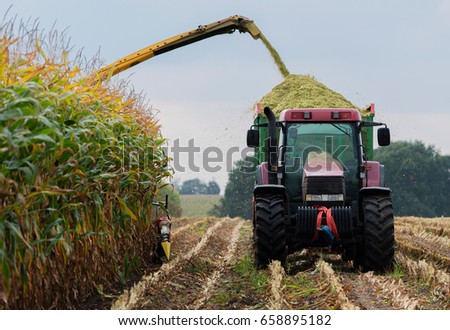 Harvest corn harvester and tractor in corn Royalty-Free Stock Photo #658895182