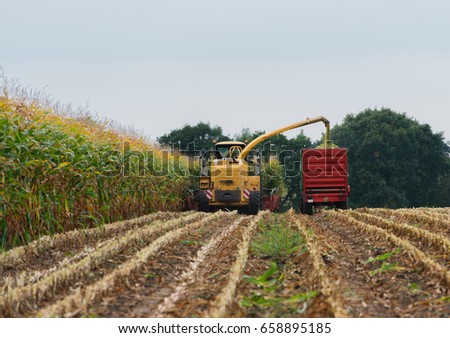 Harvest corn harvester and tractor in corn Royalty-Free Stock Photo #658895185