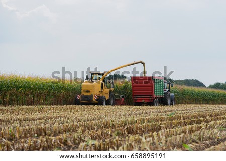 Harvest corn harvester and tractor in corn Royalty-Free Stock Photo #658895191