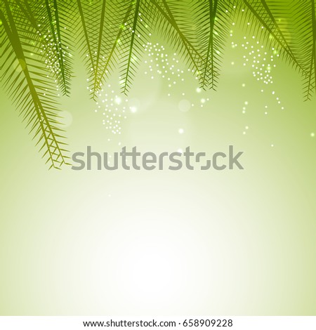 Nature background with green fir leaves and space for your text.