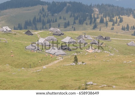 Photo shows old wooden houses in the mountains in summer.