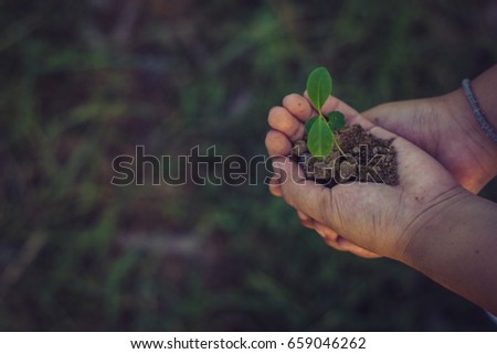 Two hands of the children are planting the seedlings into the soil / soft focus picture / Vintage concept