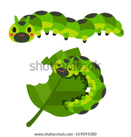 Vector cute caterpillar and leaf isolated on white background.