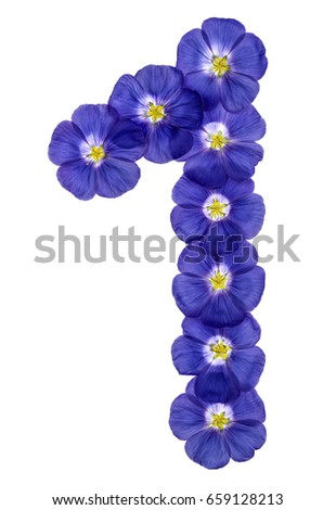 Arabic numeral 1, one, from blue flowers of flax, isolated on white background