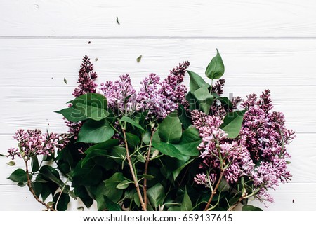spring wallpaper. purple lilac flowers on white rustic wooden background. top view of blooming in light with space for text. hello spring.