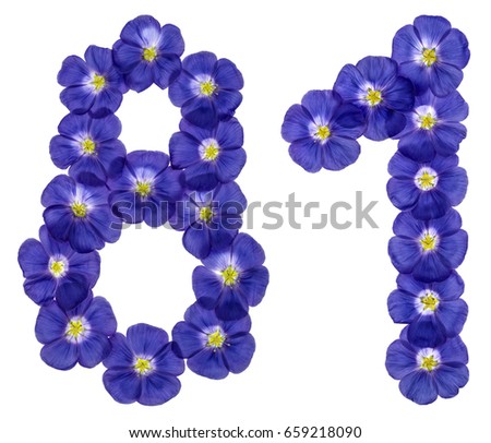 Arabic numeral 81, eighty one, from blue flowers of flax, isolated on white background