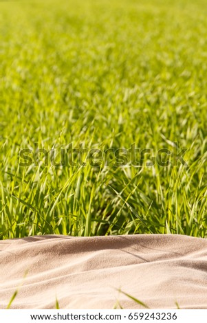 Perfect green background by the fresh grass. Copy space.
