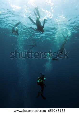 Underwater Photographer Photographing Freedivers