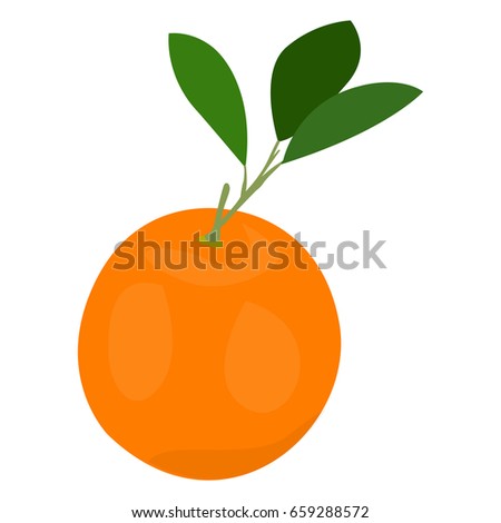 Isolated orange on a white background, Vector illustration
