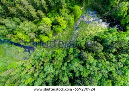 Green forest, swamp and small river captured from above with a drone. Royalty-Free Stock Photo #659290924