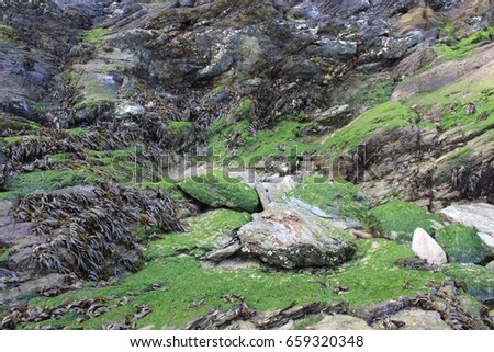 A moss covered rocky hillside captured while on a nature hike
