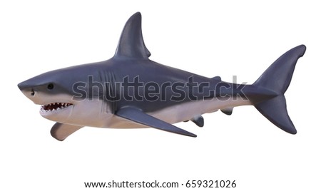 Isolated shark with clipping path