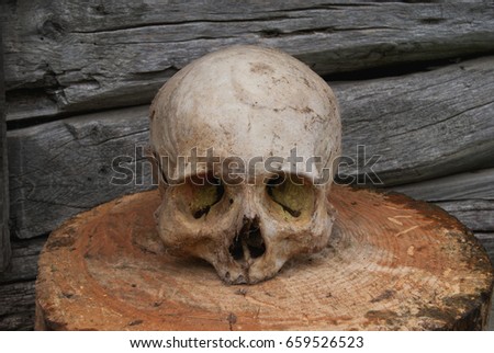 Real human skull on the background of a wooden wall