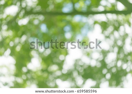 abstract green bokeh background ,Lights blurred out focus

