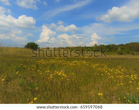 photos from the European landscape background rural field in summer on blue sky background and white clouds as the source for design, advertising, print, decoration, poster, photo shop, interior