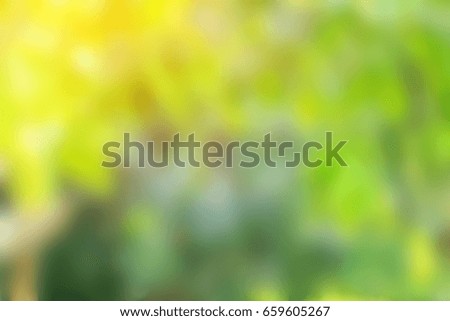blurred trees of nature park background and summer season