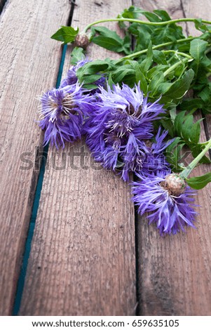Flowers on a wooden background still life creation of bouquets
