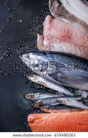 Variety of raw fresh fish. Whole tuna and herring, fillet of salmon, cod, red fish on crushed ice over dark wet metal background. Top view with space. Fish market concept