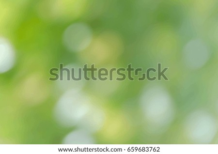 green bokeh from tree