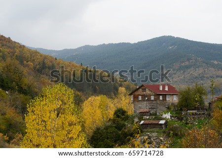 Autumn in Kure Mountains National Park in Kastamonu province,Turkey.