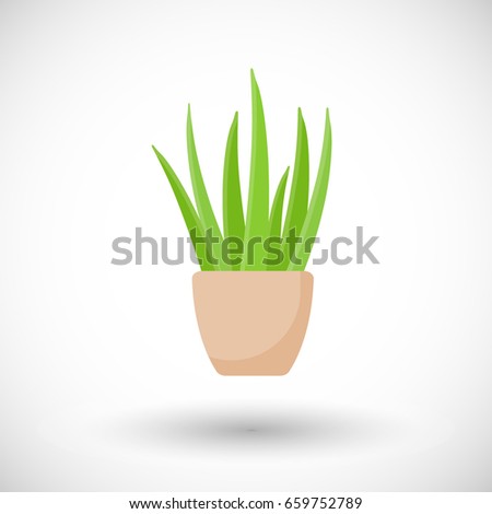 Aloe vera plant in pot vector flat icon, Flat design of medicine, cosmetology and healthcare with round shadow