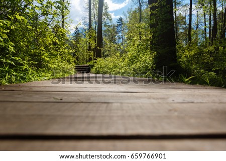 Empty wooden floor on top of a fresh green spot to get away from the garden with sunlight .For mounting product display or design a key visual layout