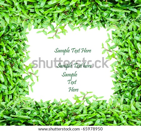 Fresh green grass frame with space for your text