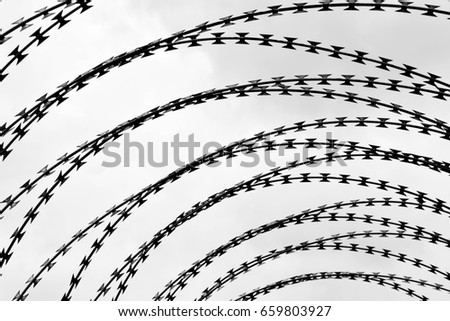 silhouette of barbed wire - Monochrome