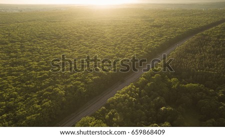 Beautiful landscape forest and road from a height.