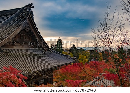 Japanese temple rooftop view in Autumn