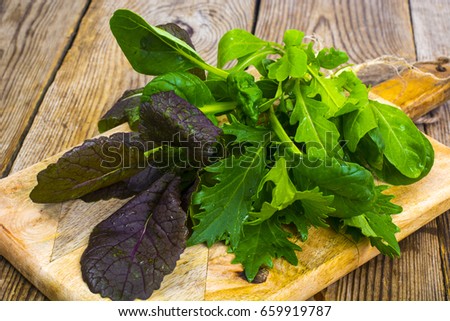 Salad mix of fresh different leaves. Studio Photo